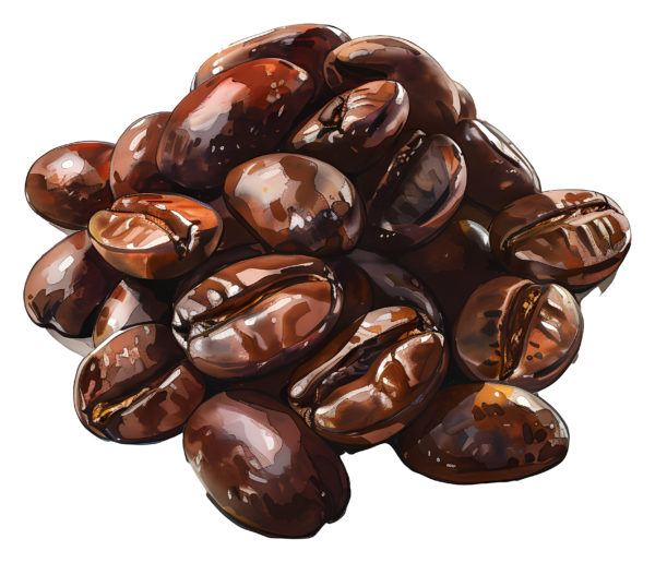 Roasted Coffee Beans