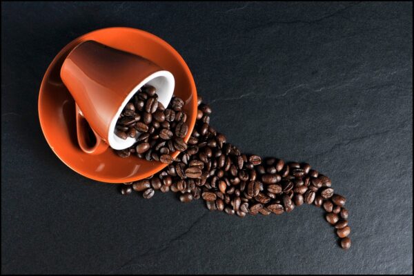 Coffee Cup